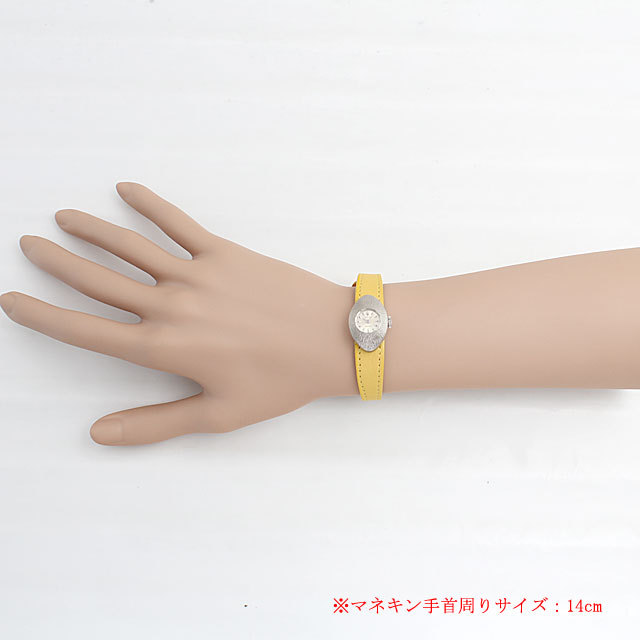 カメレオン 2001 サブ画像４