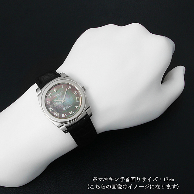 チェリーニ チェステロ 5330/9 サブ画像３