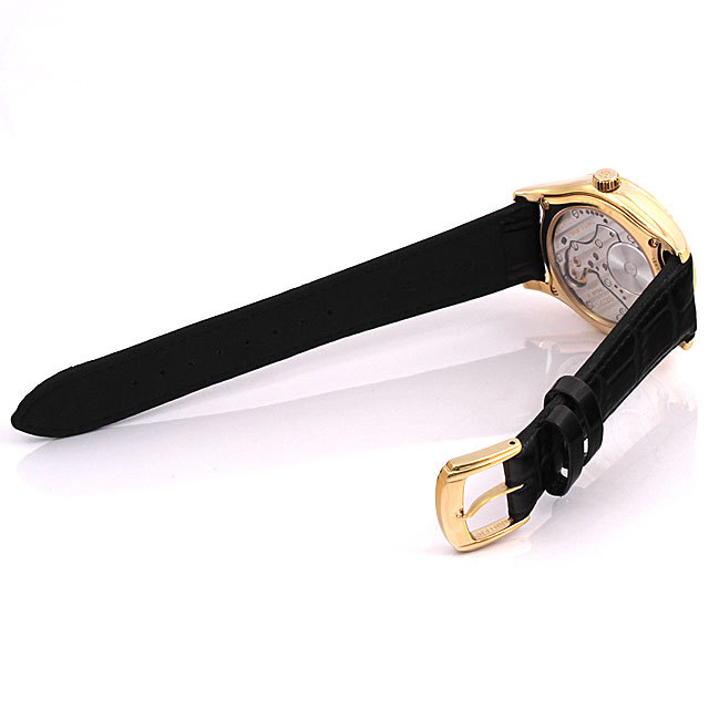 スプリングドライブ ファーストモデル 限定300本 SBWA002 サブ画像３