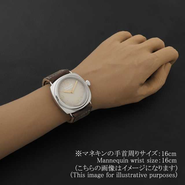 Panerai Radiomir PAM01350 Men's Used