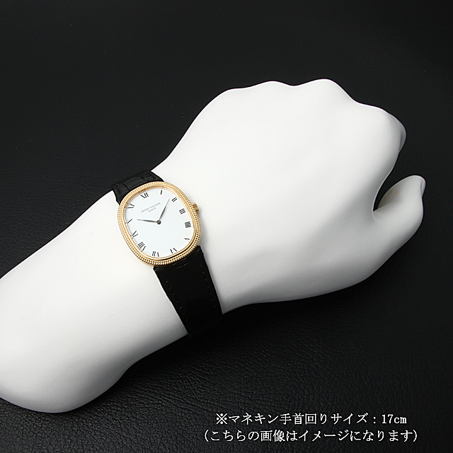 ゴールデンエリプス 3986J サブ画像３