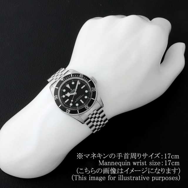 7941A1A0NU-0003 ブラック TUDOR（チューダー）ブラックベイ 中古  