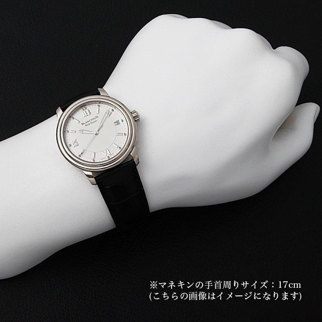 レマン ハーフハンター 333本限定 B3100-1542-53 サブ画像３