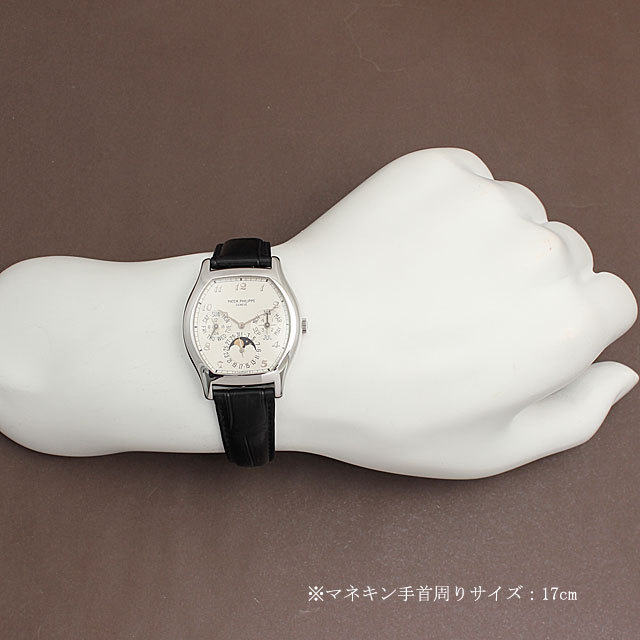 パーペチュアルカレンダー 5040P-001 サブ画像４