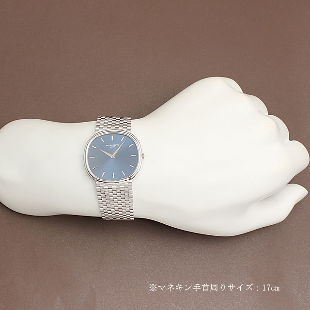 ゴールデンイリプス 3739/2G サブ画像４