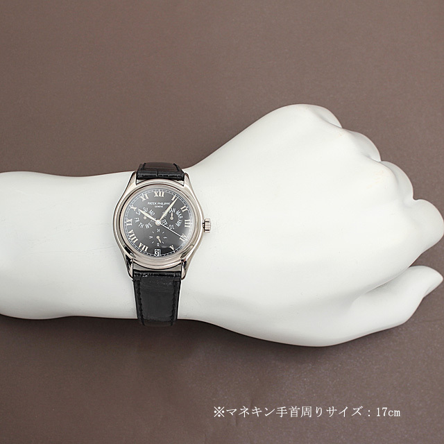 アニュアルカレンダー 5035G サブ画像５