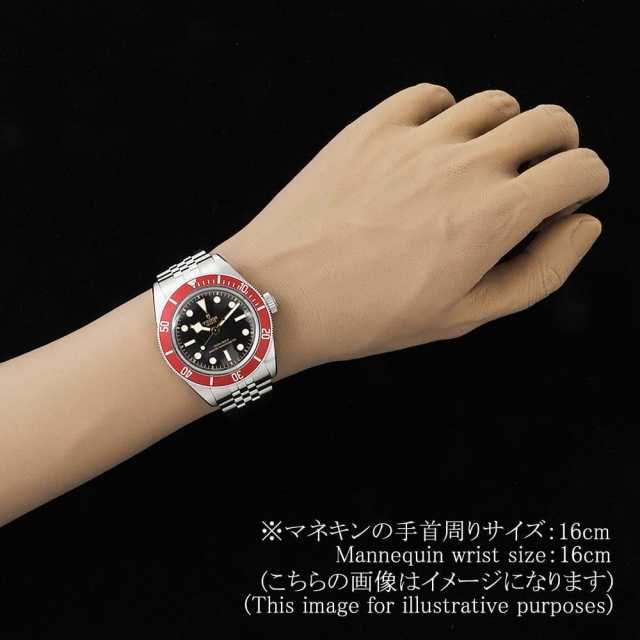 7941A1A0RU-0003 ブラック TUDOR（チューダー）ブラックベイ 中古