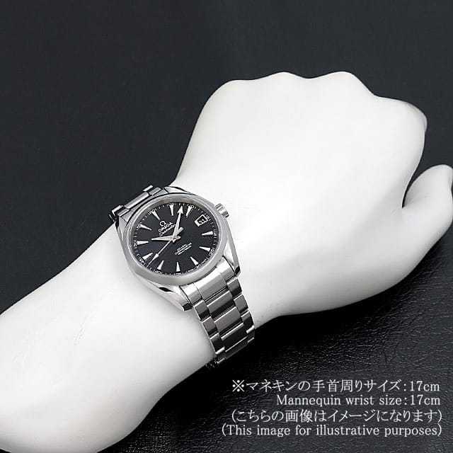 オメガ シーマスター 231.10.39.21.01.001 メンズ 中古