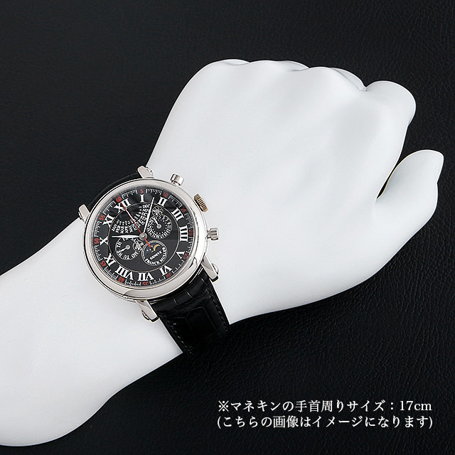 パーペチュアルカレンダー レトログラード クロノグラフ 世界限定50本 7008CC QP E I OG サブ画像４