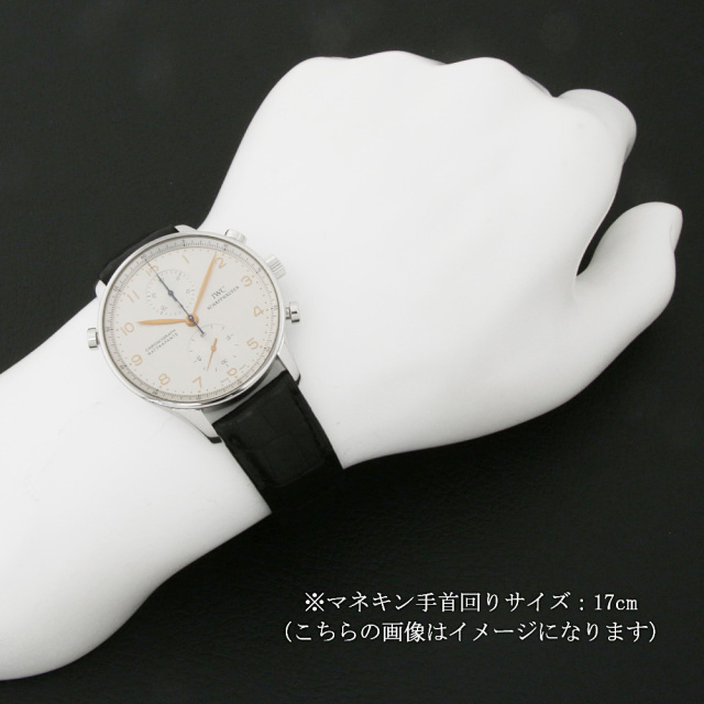 ポルトギーゼ クロノ ラトラパンテ 日本限定 IW371207 サブ画像４