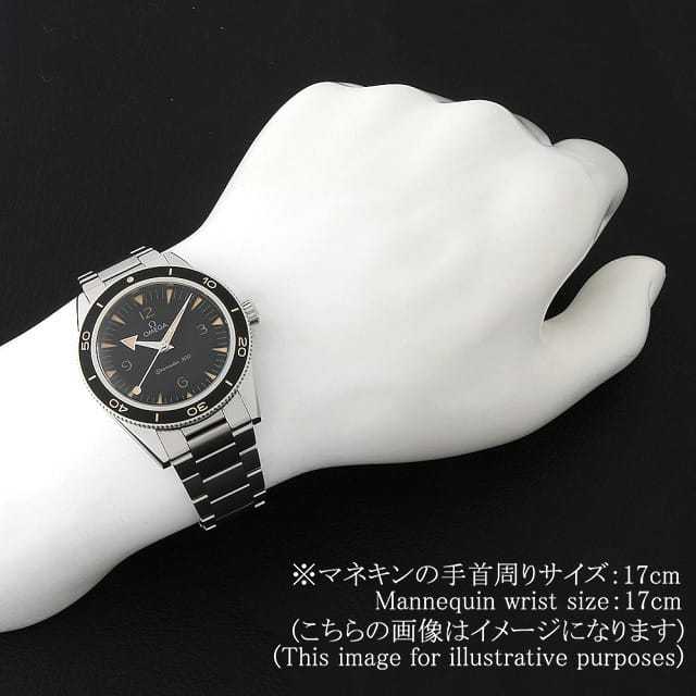 オメガ シーマスター 234.30.41.21.01.001 メンズ 中古