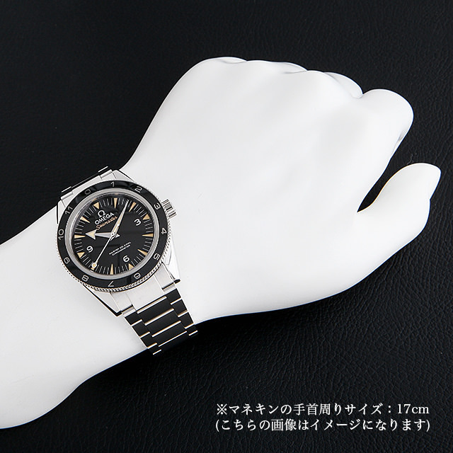 シーマスター300 マスターコーアクシャル""スペクター""限定モデル 233.32.41.21.01.001 サブ画像４