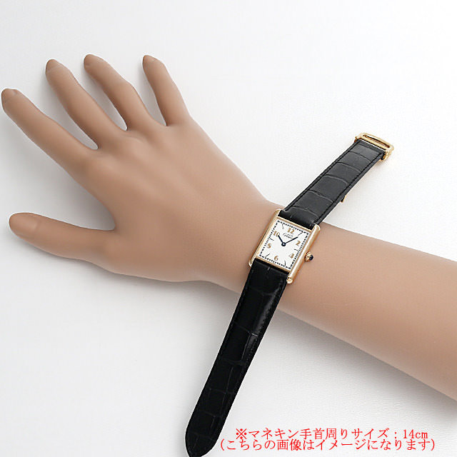 マストタンク LM W1008254 サブ画像３