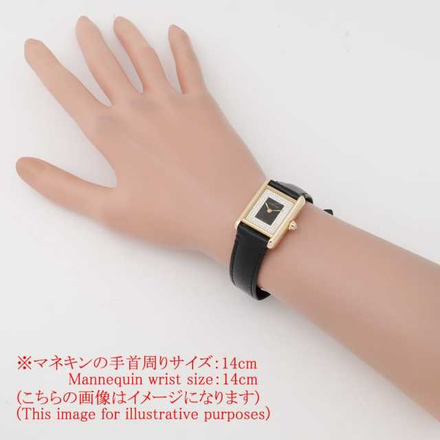 Cartier Tank (Other) WGTA0269 Ladies Used