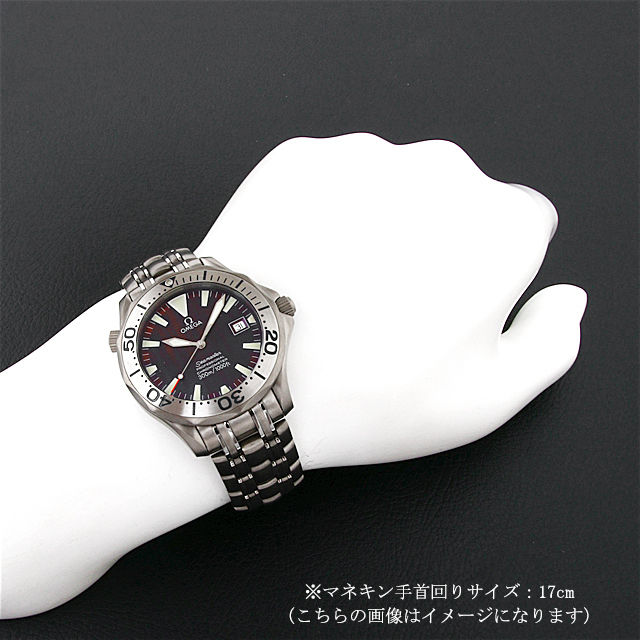 シーマスター 300M クロノメーター 2231.80.00 サブ画像４