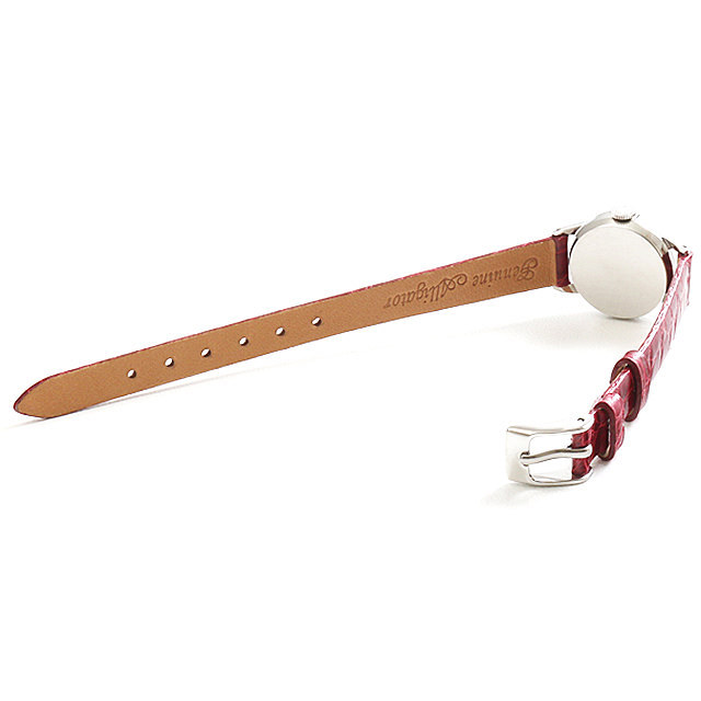 プレシジョン 9169 サブ画像２