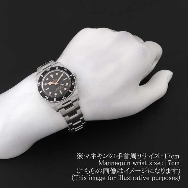 79000N-0001 ブラック TUDOR（チューダー）ブラックベイ54 中古