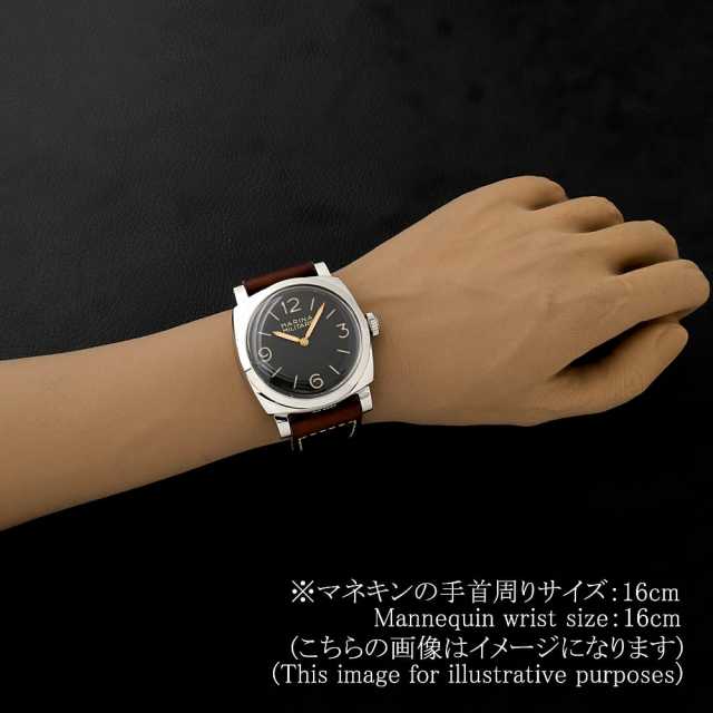 Panerai Radiomir PAM00587 Men's Used