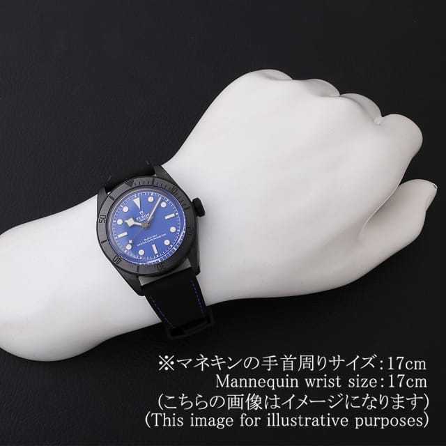 チューダー ブラックベイ 79210CNU メンズ 中古