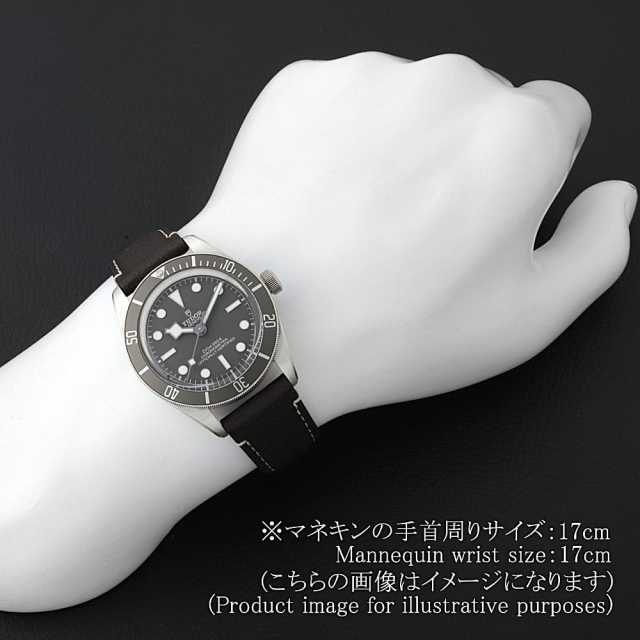 79010SG グレー TUDOR（チューダー）ブラックベイ58 925 中古