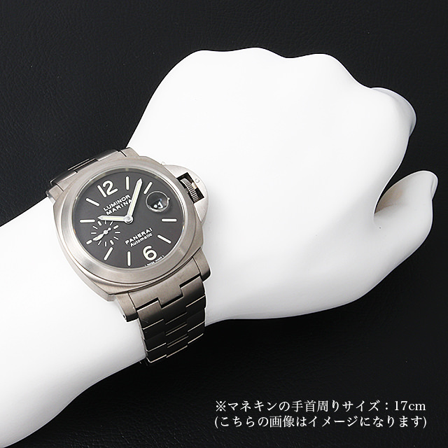 ルミノールマリーナ チタニオ PAM00296 サブ画像３