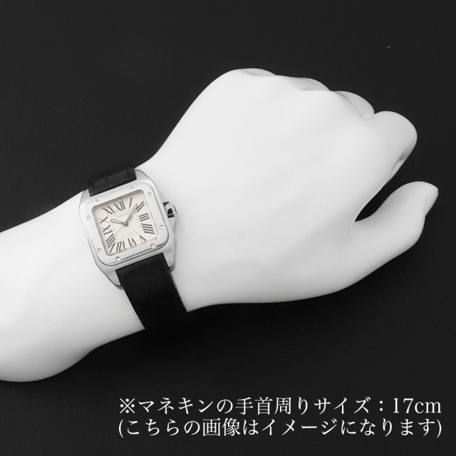 W20126X8 シルバー Cartier（カルティエ）サントス100 MM 中古 | 東京  