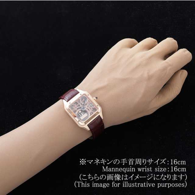 Cartier Santos WHSA0030 Men's Used