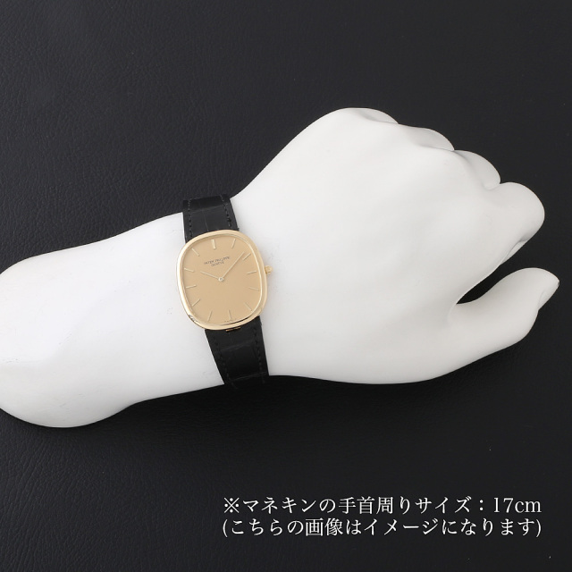 パテックフィリップ 冷た PATEK PHILIPPE 手袋 