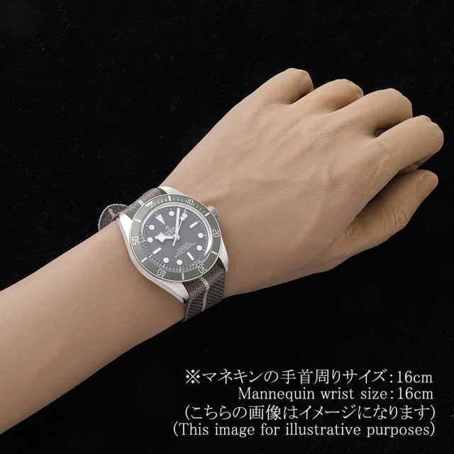 79010SG グレー TUDOR（チューダー）ブラックベイ58 925 中古 | 東京