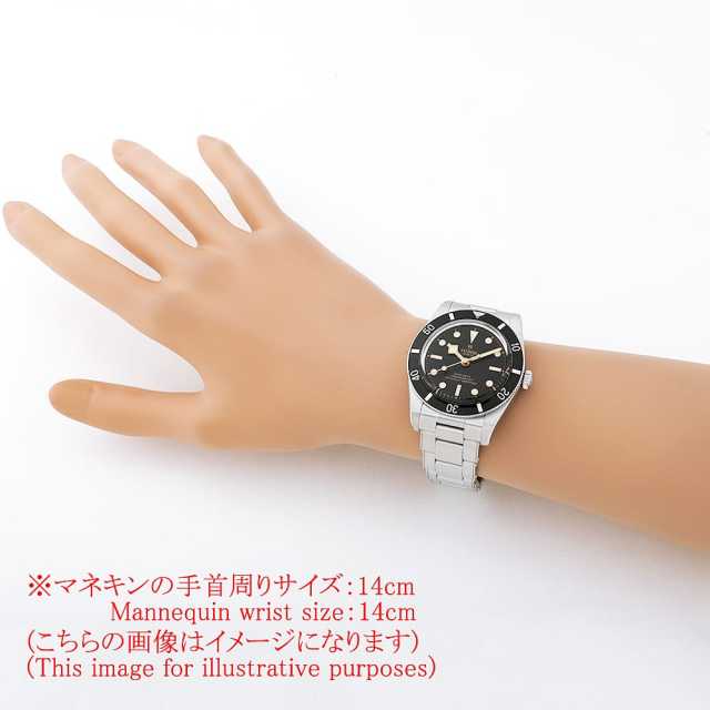 79000N-0001 ブラック TUDOR（チューダー）ブラックベイ54 中古 | 東京