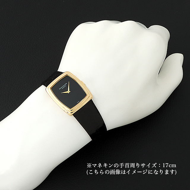 ゴールデンエリプス 3732J サブ画像３