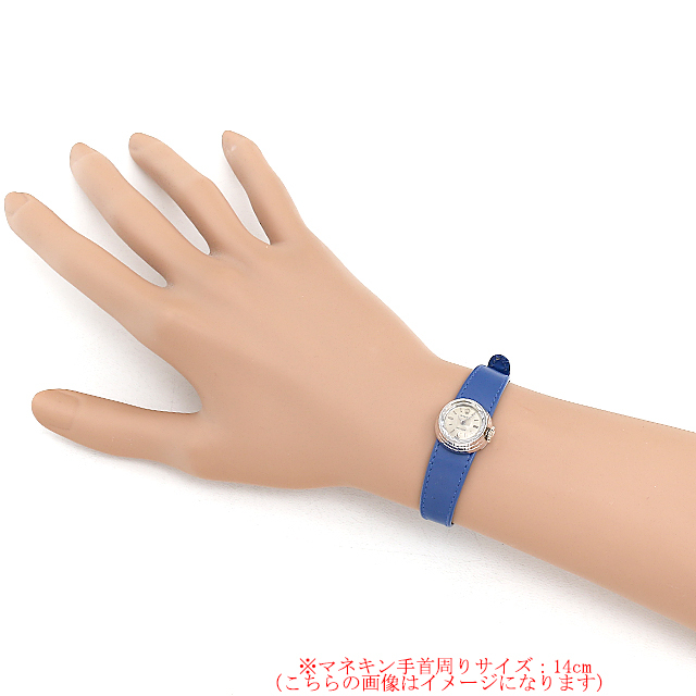 カメレオン プレシジョン 2025 サブ画像３