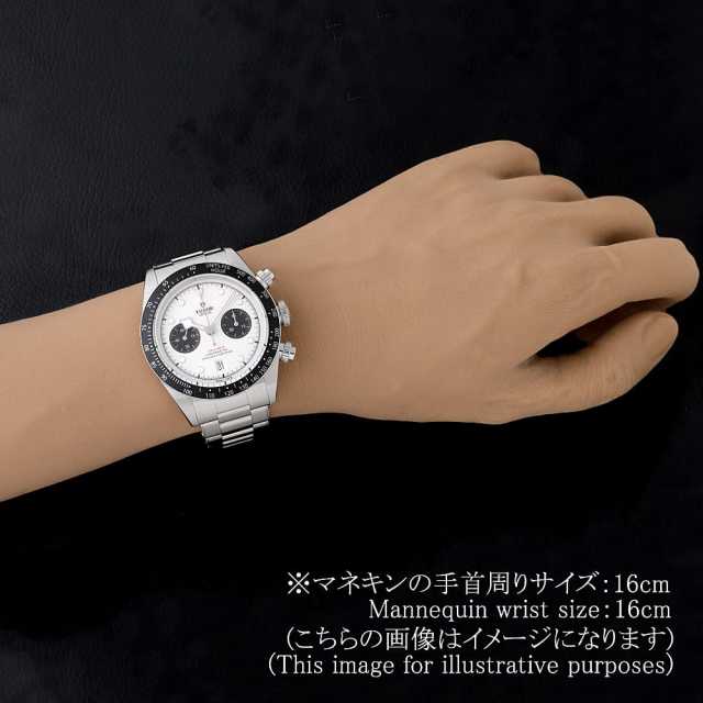 チューダー ブラックベイ 79360N メンズ 中古