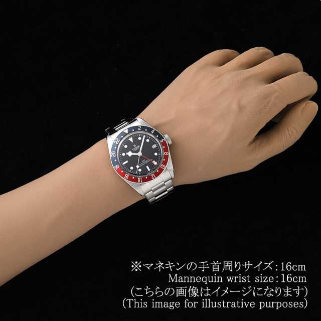 TUDOR Black Bay 79830RB Men's Used