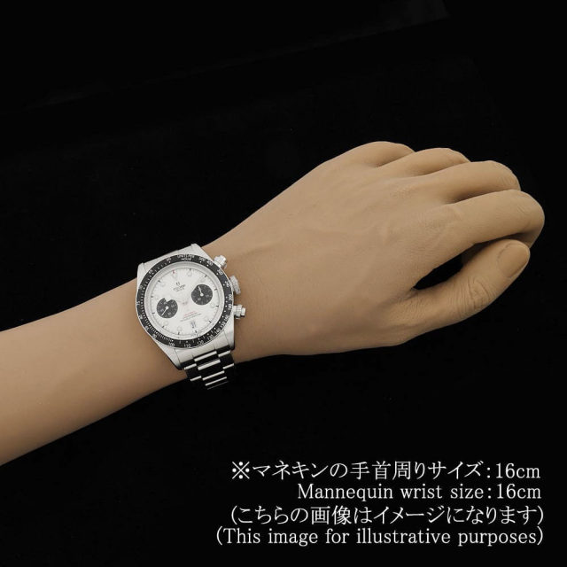 チューダー ブラックベイ 79360N-0012 メンズ 中古