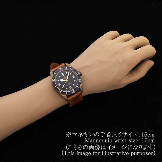Tudor Black Bay 79250BB Men's Used