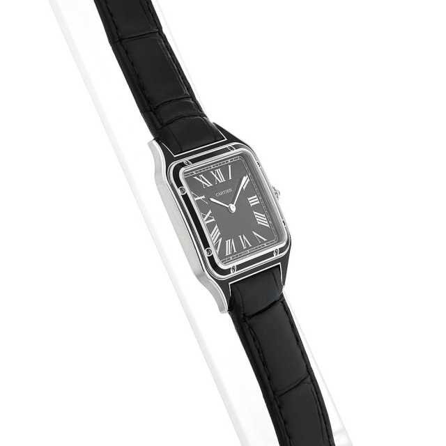 Cartier Santos WSSA0046 Men's Used
