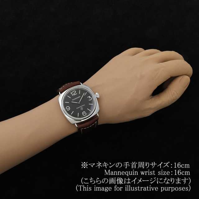 Panerai Radiomir PAM00753 Men's Used