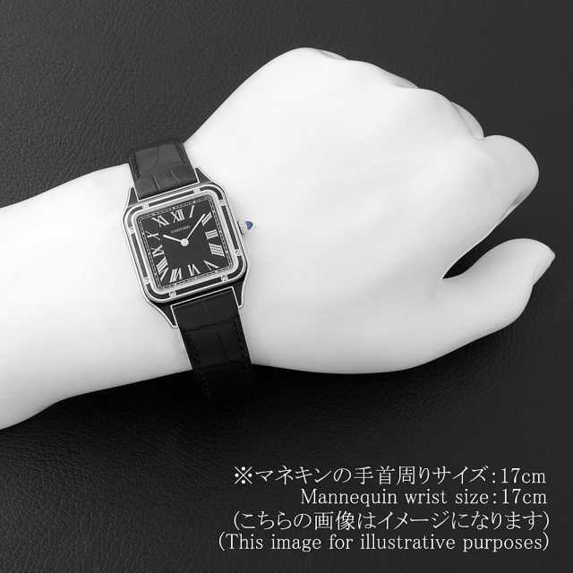 Cartier スクエア型時計サントスデュモンＬМ シルバー/ブラック WSSA0046 ブラック Cartier（カルティエ）サントス デュモンLM