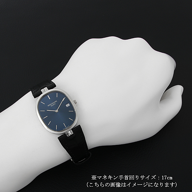 ゴールデン エリプス 3930A サブ画像３