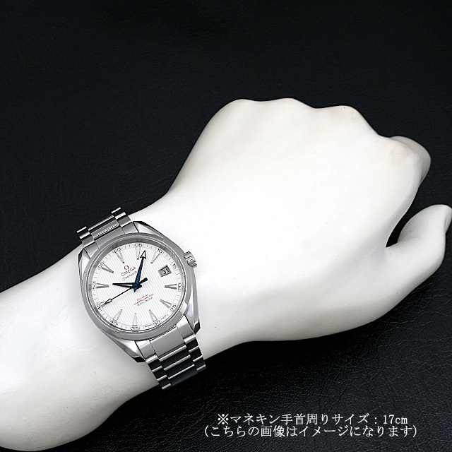 231.10.42.21.02.002 OMEGA（オメガ） シーマスター アクアテラ