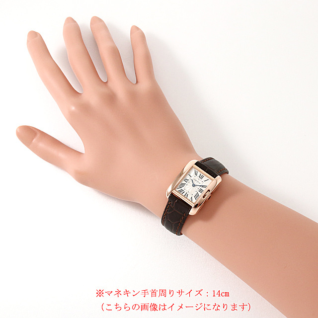 タンクアングレーズSM W5310027 サブ画像３