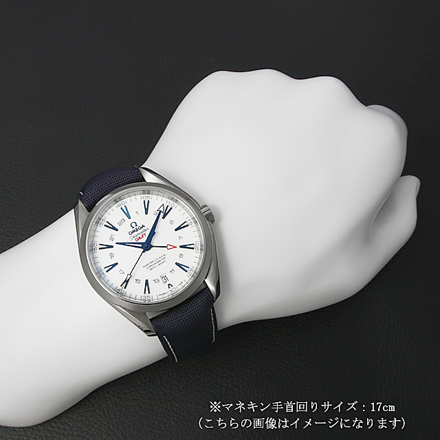シーマスター アクアテラ 150M マスターコーアクシャル クロノメーター GMT グッドプラネット 231.92.43.22.04.001 サブ画像４
