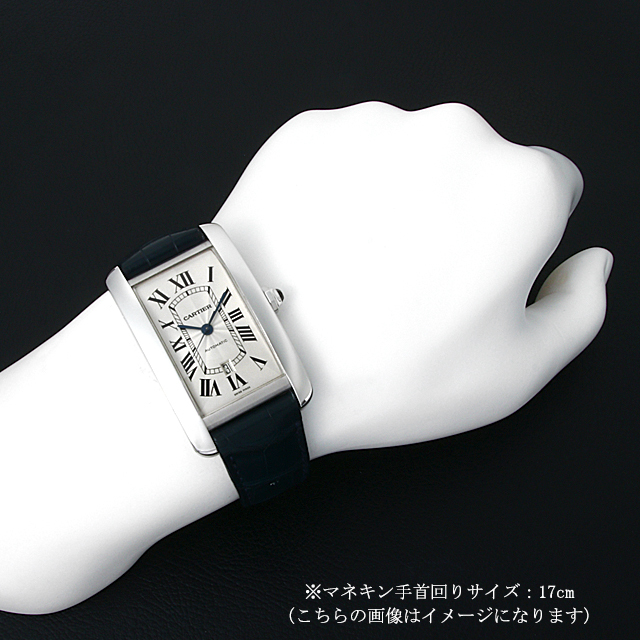 タンクアメリカン XL W2609956 サブ画像４