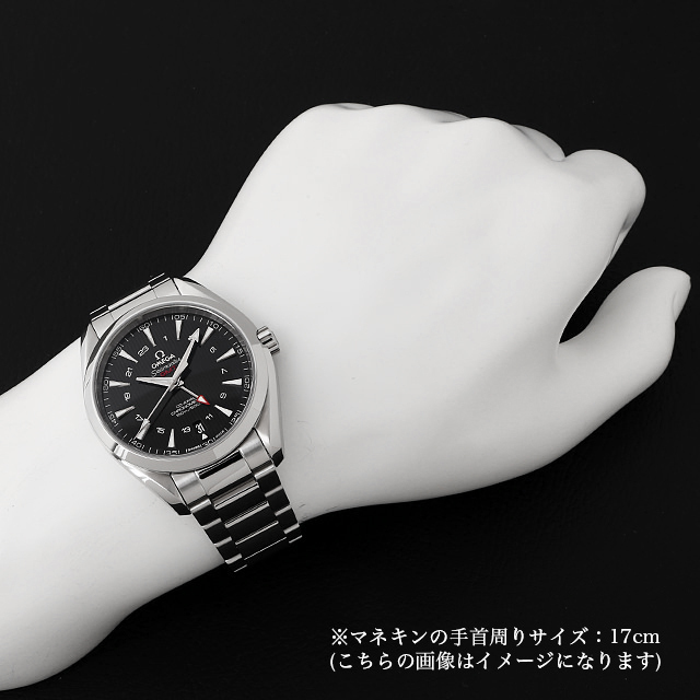 シーマスター アクアテラ GMT コーアクシャル[231.10.43.22