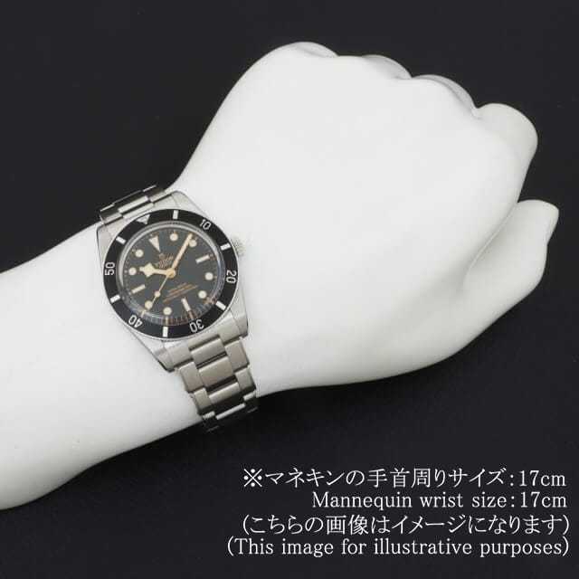 79000N-0001 ブラック TUDOR（チューダー）ブラックベイ54 中古