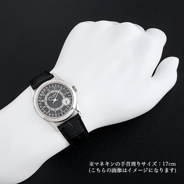 カラトラバ 6000G-010 サブ画像４