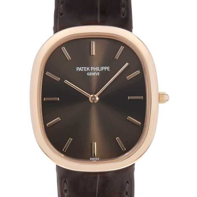 PATEK PHILIPPE 時計用ケース ブラウン パテックフィリップ ノベルティ(非売品)レザー時計ケース1