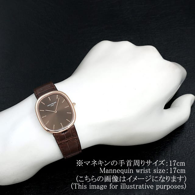 3738/100R-001 ブラウン PATEK PHILIPPE（パテックフィリップ