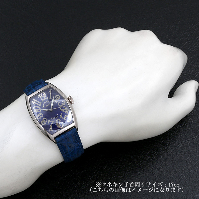 トノーカーベックス サンセット 5850SC SUNSET WG サブ画像３